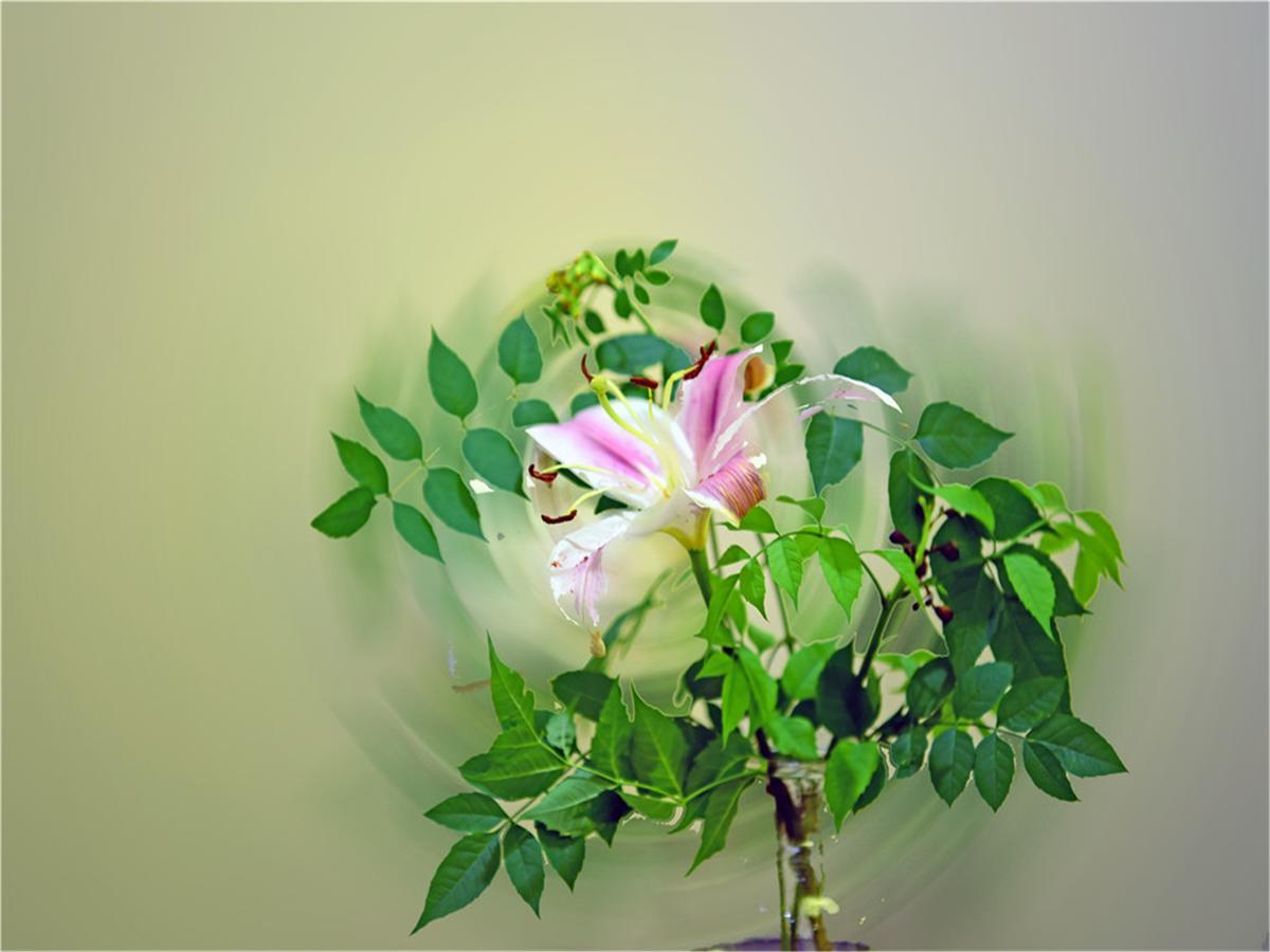 Soho Garden Hotel Thượng Hải Ngoại thất bức ảnh